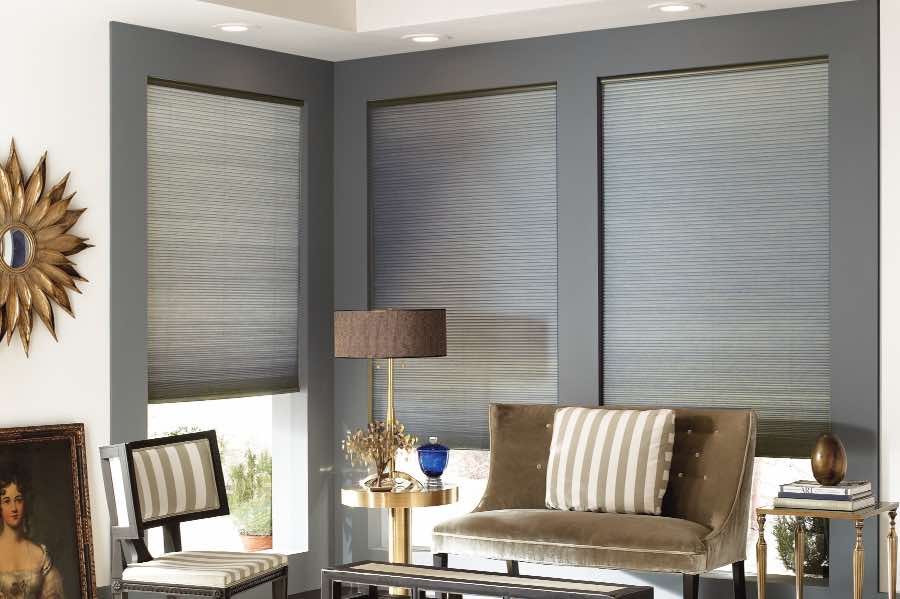 Gray cellular shades on living room windows